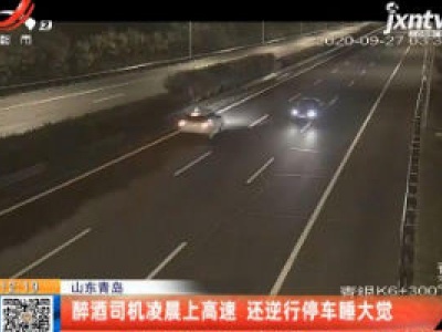 山东青岛：醉酒司机凌晨上高速 还逆行停车睡大觉