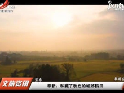 宜春奉新：私藏了秋色的城郊稻田