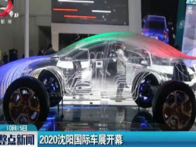 2020沈阳国际车展开幕