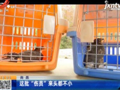 南昌：这批“伤员”来头都不小