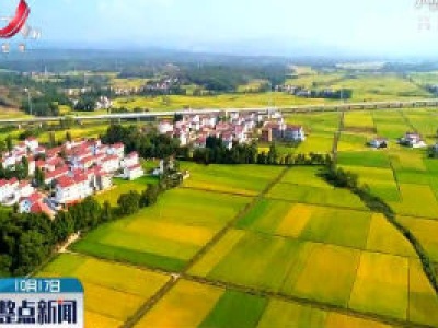 江西：力争到2022年超七成水稻“上保险”
