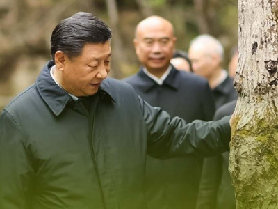这五年，中国更美丽