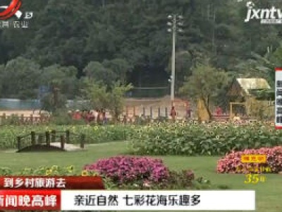 【到乡村旅游去】南昌：亲近自然 七彩花海乐趣多