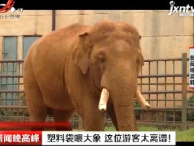 云南：塑料袋喂大象 这位游客太离谱！