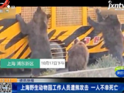 上海野生动物园工作人员遭熊攻击 一人不幸死亡