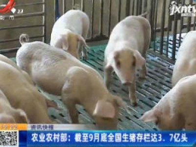 农业农村部：截至9月底全国生猪存栏达3.7亿头