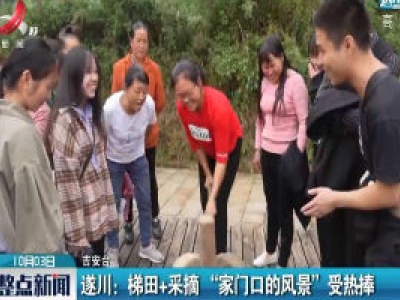 遂川：梯田+采摘 “家门口的风景”受热捧