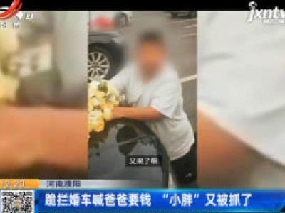 河南濮阳：跪拦婚车喊爸爸要钱 “小胖”又被抓了