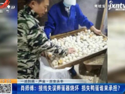 【一追到底·声音】吉安永丰·肖师傅：接线失误孵蛋器烧坏 损失鸭蛋谁来承担？