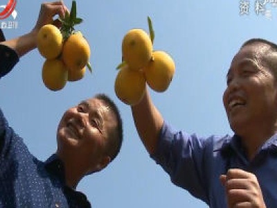 【决战决胜脱贫攻坚】万安县：村村有脱贫产业 户户有增收门路