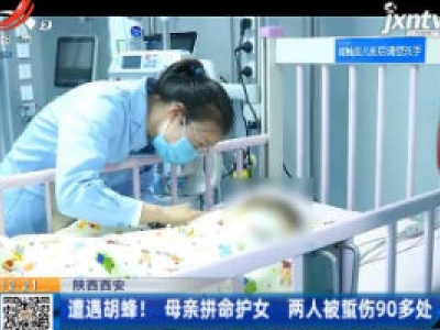 陕西西安：遭遇胡蜂！ 母亲拼命护女 两人被蜇伤90多处