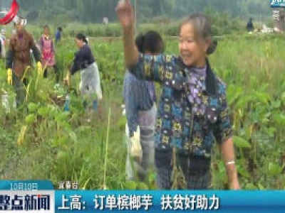 上高：订单槟郎芋 扶贫好助力
