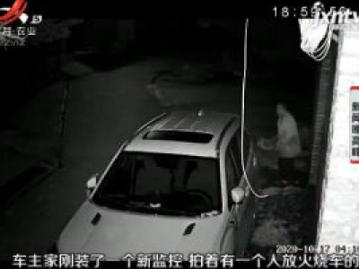 河南：嫌邻居停车碍事 男子竟放火烧车
