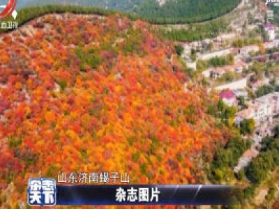 半山青翠半山红 山东济南蝎子山现秋日奇景