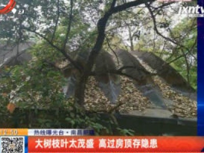 【热线曝光台】南昌新建：大树枝叶太茂盛 高过房顶存隐患