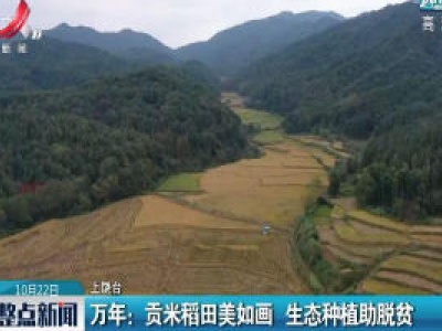 【中国的脱贫智慧】江西万年：贡米稻田美如画 生态种植助脱贫