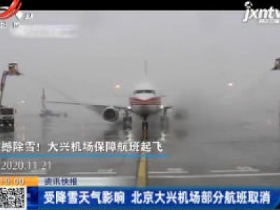受降雪天气影响 北京大兴机场部分航班取消