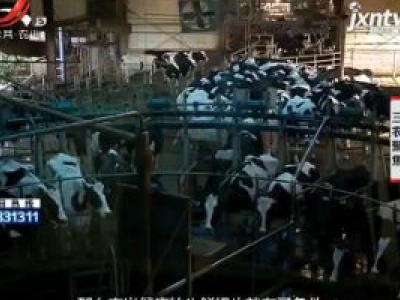 三农聚焦20201112 本土奶牛养殖 产绿色健康奶