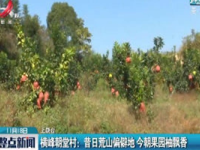【中国的脱贫智慧】横峰朝堂村：昔日荒山偏僻地 今朝果园柚飘香