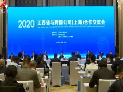 2020江西省与跨国公司（上海）合作交流会举行