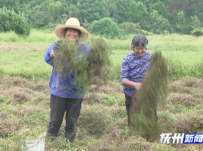 东乡：特色农产品喜获丰收 助农增收致富