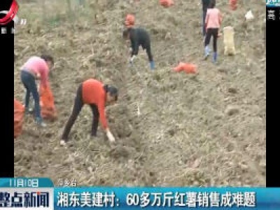 萍乡·湘东美建村：60多万斤红薯销售成难题