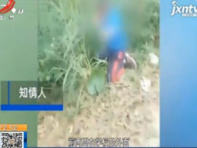 【新闻特搜】广西柳州：小学生校外遭欺凌 被拖鞋抽脸衣服塞鞭炮