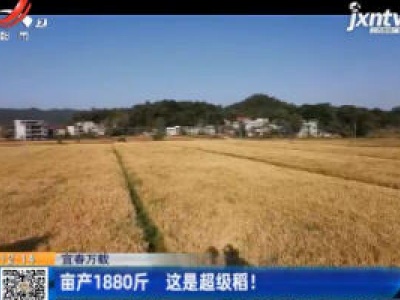 都市60分20201111