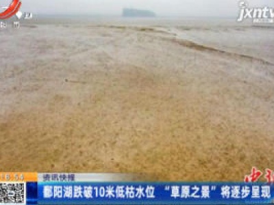 鄱阳湖跌破10米低枯水位 “草原之景”将逐步呈现