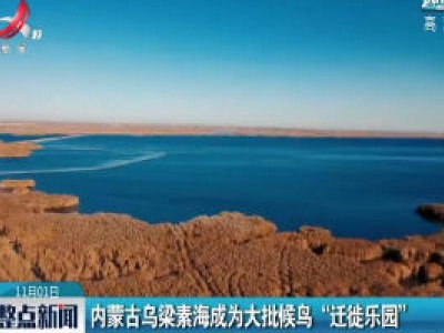 内蒙古乌梁素海成为大批候鸟“迁徙乐园”