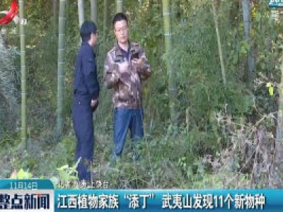 江西植物家族“添丁” 武夷山发现11个新物种  