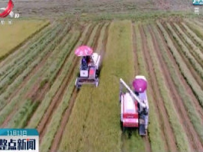 贵溪：近百万亩水稻喜获丰收