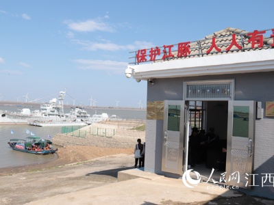 江西湖口：石钟山旁观江豚，美哉！