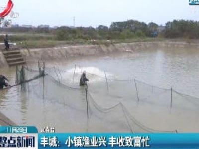 丰城：小镇渔业兴 丰收致富忙
