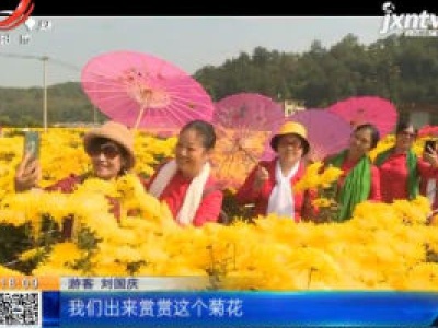 都市现场20201106