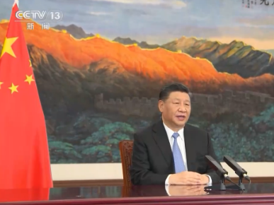 习近平在第十七届中国—东盟博览会和中国—东盟商务与投资峰会开幕式上致辞
