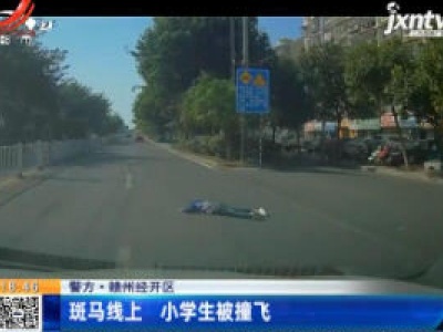 【警方】赣州经开区：斑马线上 小学生被撞飞