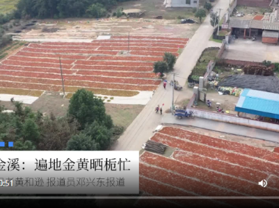 江西遂川：板鸭上餐桌 产业助民富