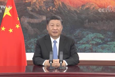 独家视频丨习近平出席浦东开发开放30周年庆祝大会