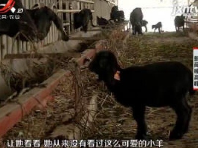 【书记“店小二”】鄱阳县·黄金星：深深的牵挂 难得的相聚
