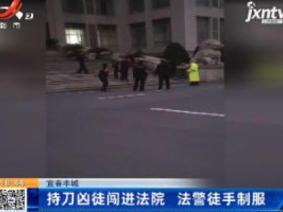 宜春丰城：持刀凶徒闯进法院 法警徒手制服
