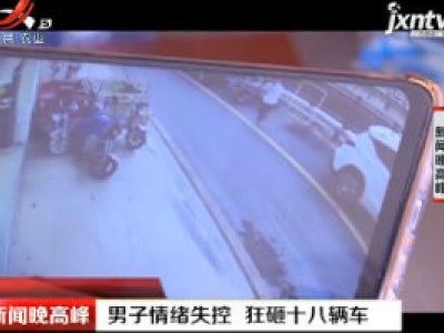 深圳：男子情绪失控 狂砸十八辆车