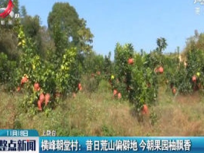 横峰朝堂村：昔日荒山偏僻地 今朝果园柚飘香