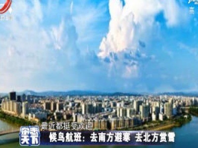 杂志天下20201125
