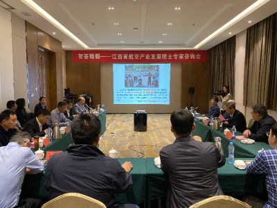 “智荟赣鄱——江西航空产业发展院士专家咨询会”召开 