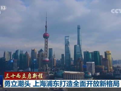 【三十而立启新程】勇立潮头 上海浦东打造全面开放新格局