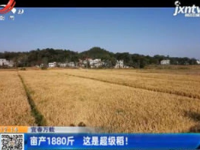 宜春万载：亩产1880斤 这是超级稻！