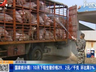 国家统计局：10月下旬生猪价格29.2元/千克 环比降3%