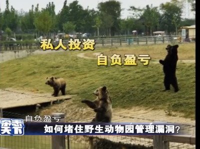 杂志天下20201102