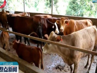 江西出台举措助力牛羊产业高质量发展